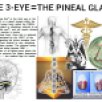 the 3 eye=the pineal gland966486173..jpg